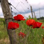 Produktfoto: Wein& Wandern mit Vesper (Genusswochenende 2026) - 18.04.2026